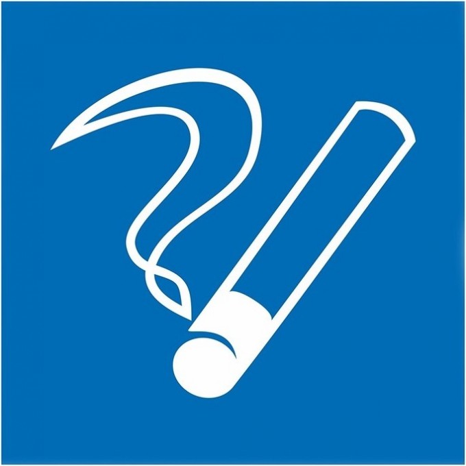 Наклейка информационный знак REXANT МЕСТО КУРЕНИЯ 200х200 56-0033 Наклейка информационный знак REXANT МЕСТО КУРЕНИЯ 200х200 56-0033